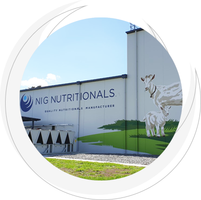 circles with line wall